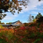 【受付終了】★琵琶湖疏水ヒストリーウォーク 第7回 2025年5月18日(日) 鴨川運河を巡り東福寺を拝観